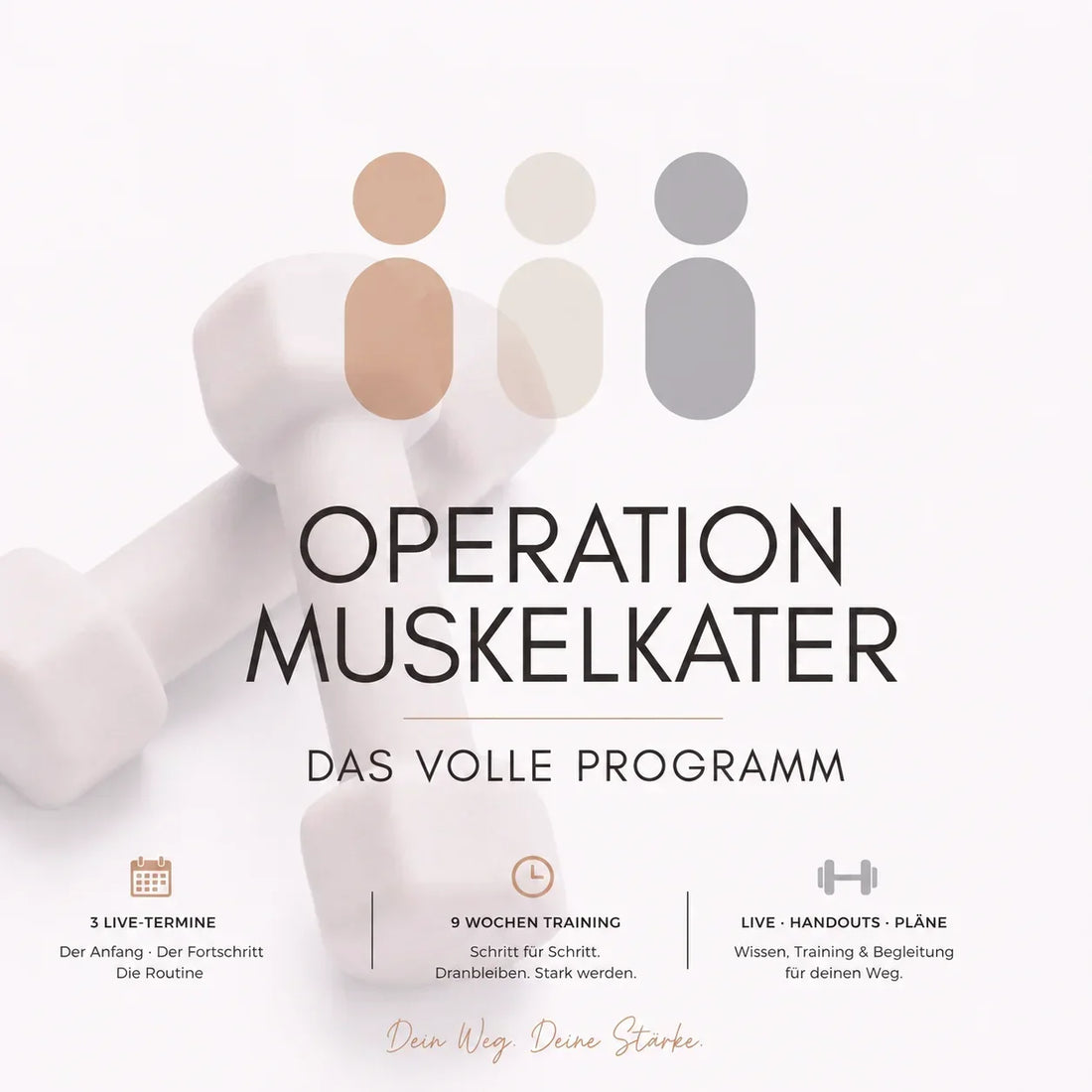 OPERATION MUSKELKATER: Warum wir Krafttraining einfacher machen wollen